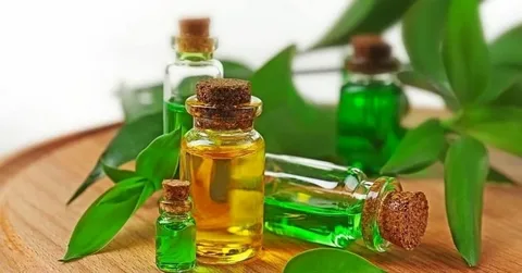 تصویر 3 از خرید روغن گیاهی درخت چای + بهترین قیمت